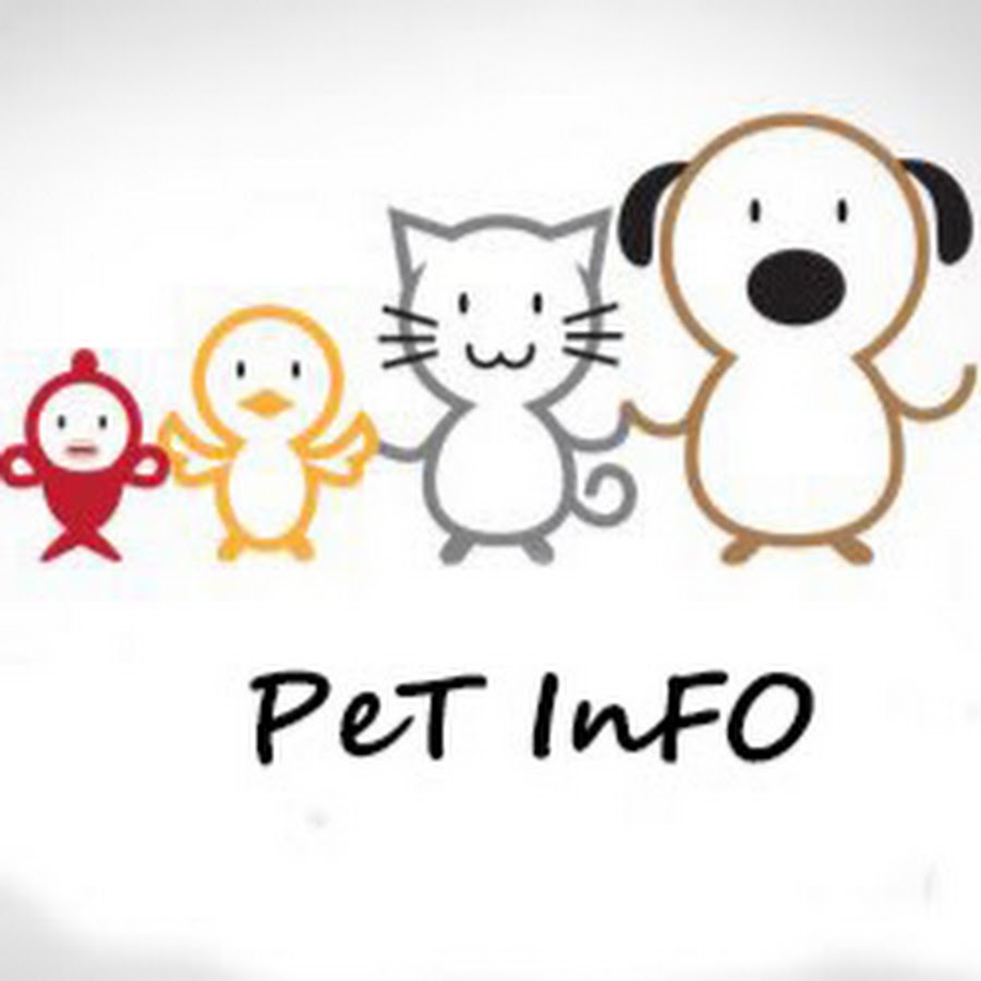 PET INFO