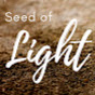 The Seed Of Light