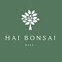 Hai Bonsai