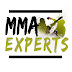 logo MMA EXPERTS