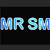 logo Mr SM