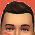 logo Jim the Sim