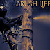 BRUSH LIFE