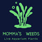 Momma’s Weeds