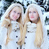 logo Harp Twins Happenings