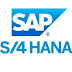 logo SAP GURU