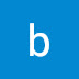 logo bplnhguns