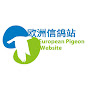 European Pigeon Website / EPW