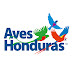 Aves Honduras - ASHO