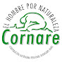 Cornare