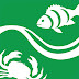 logo FishWise Org