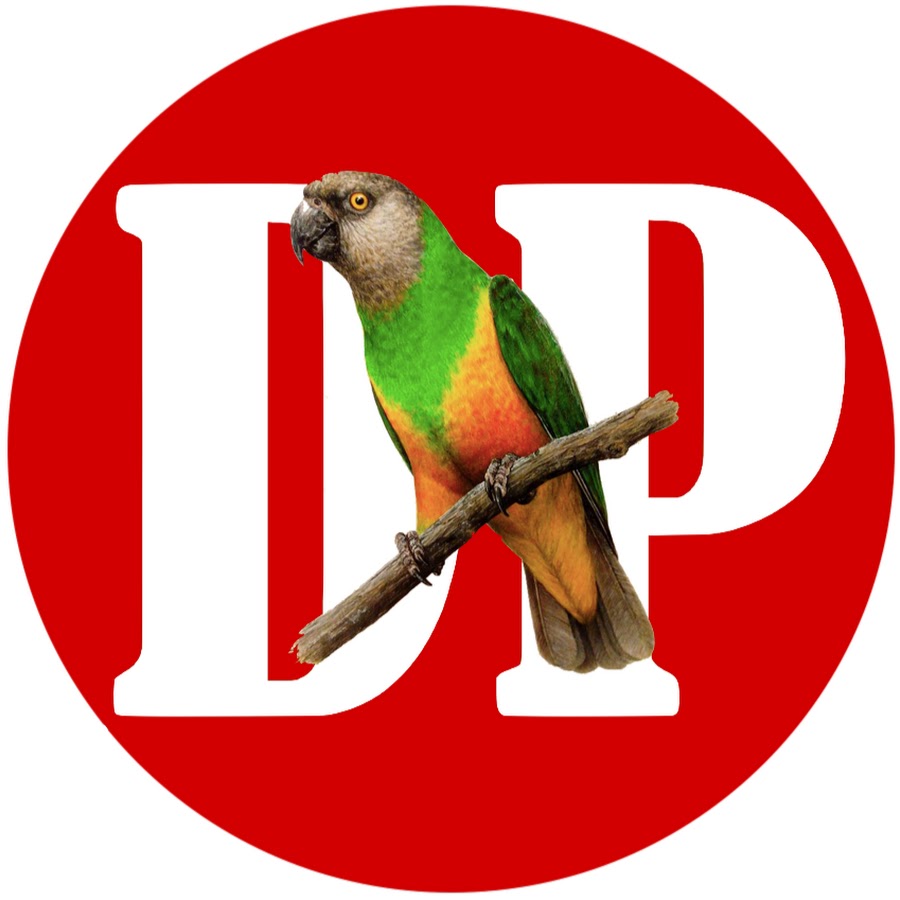 Discover PARROTS