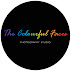 logo The Colourful Faces Studio