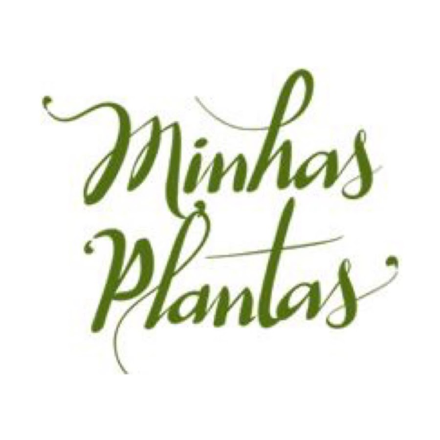 Minhas Plantas @MinhasPlantas