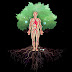 logo Humanum Lignum