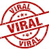 THE VIRAL HUB