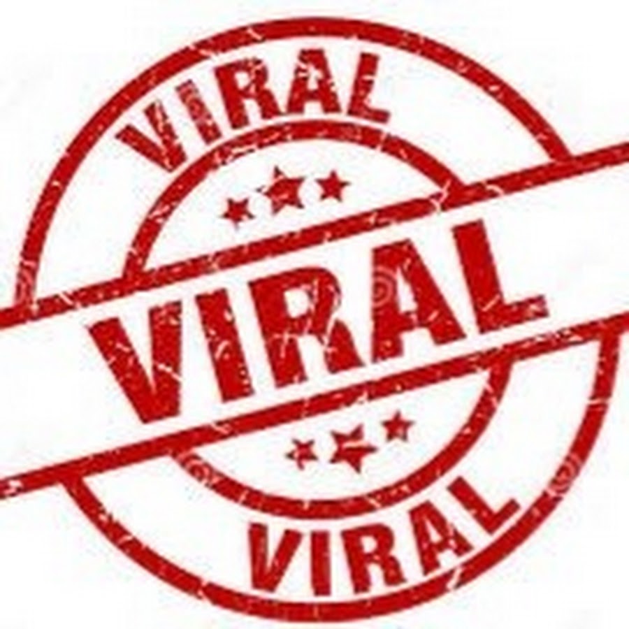 THE VIRAL HUB - YouTube