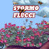 Stormo Flucci