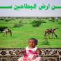 محمدعمر البطحانى