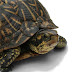 logo TomTheTurtle