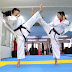 logo Karate Tenshi Dojo