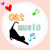 cat music