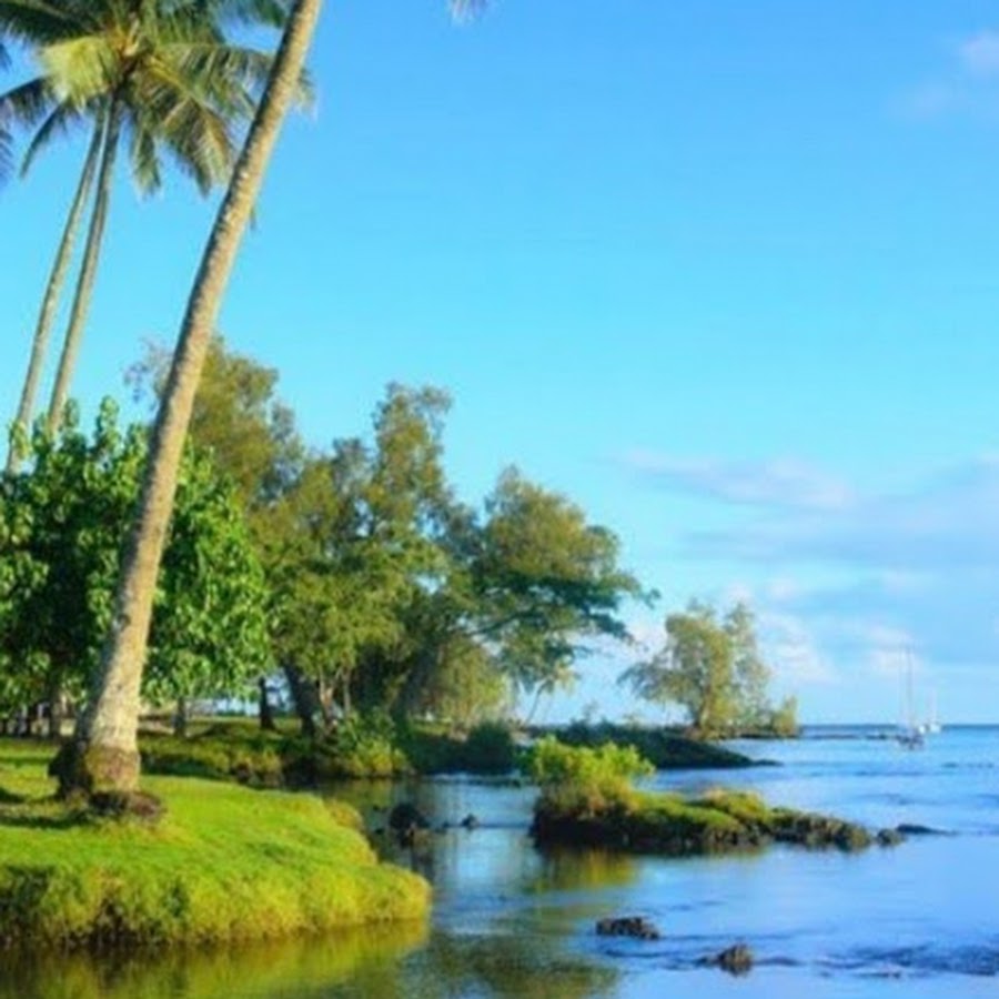 Shauna Grant - YouTube