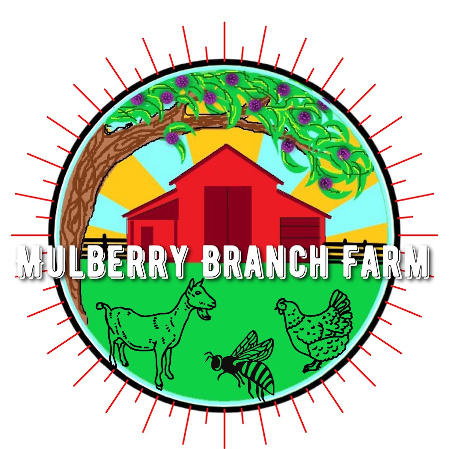 Mulberry Branch Farm 