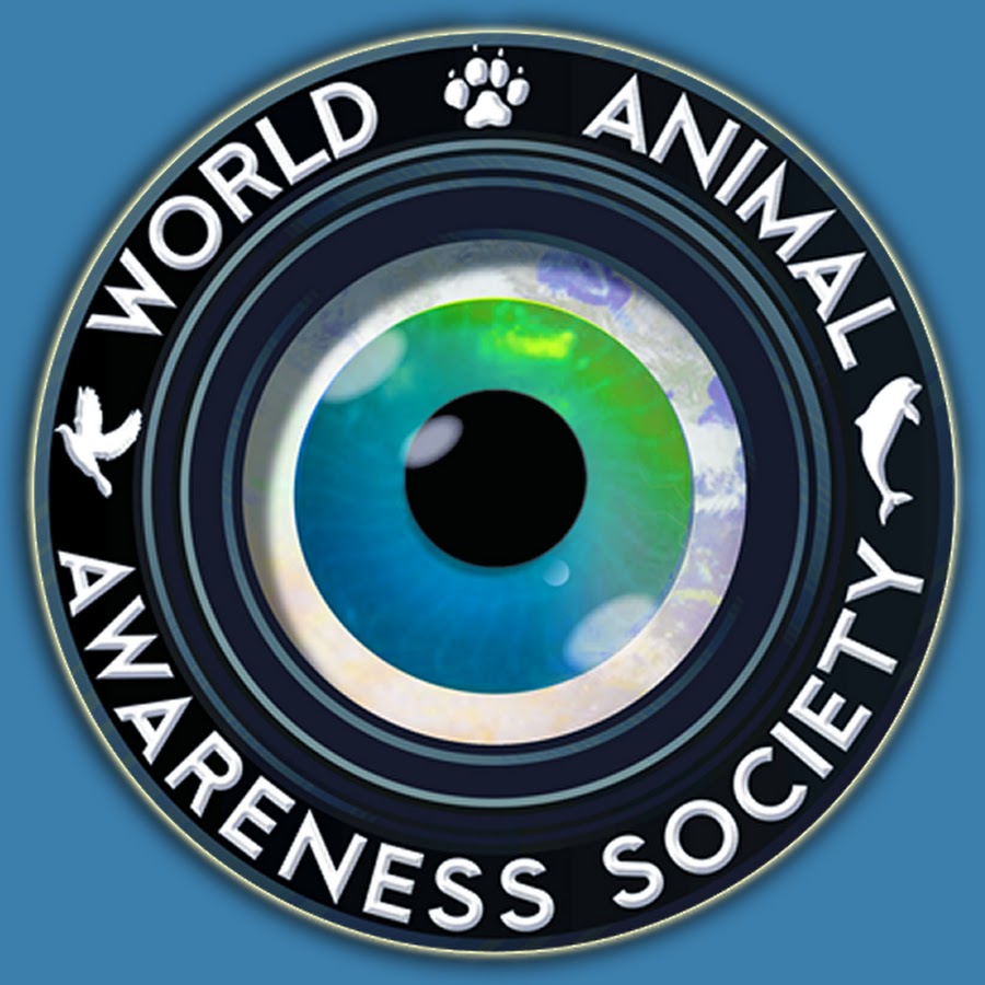 World Animal Awareness Society @animalrescuenetwork