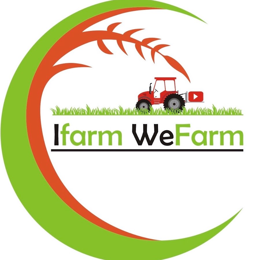IFarm WeFarm @IFarmWeFarm
