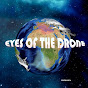 Eyes of the drone