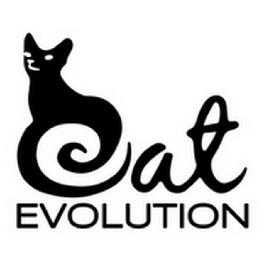 Cat Evolution YouTube