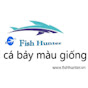 Trại cá bảy màu Fish Hunter