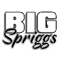 BIG Spriggs