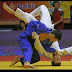 logo TemirDos Judo