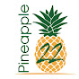 Pineapple 22