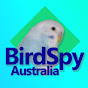 Bird Spy Australia