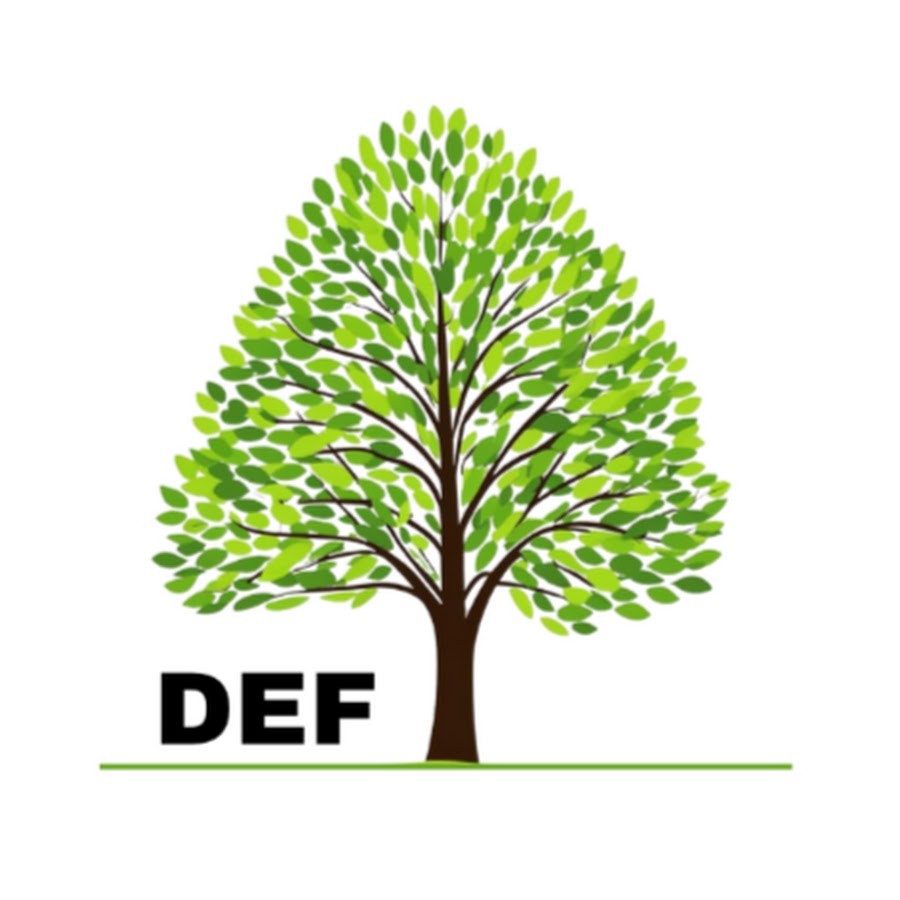 Duxbury Education Foundation (DEF) - YouTube