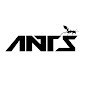 Ants music