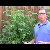 HowtoGarden