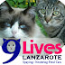 9 Lives Lanzarote