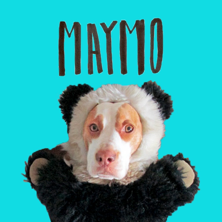 Maymo @maymo
