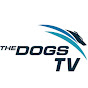 Dogs TV