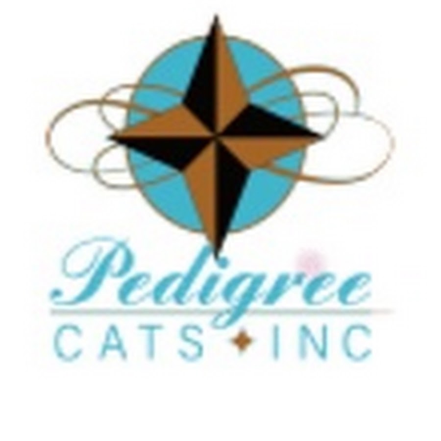 pedigree catamarans