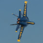 Wing Flex Aviation
