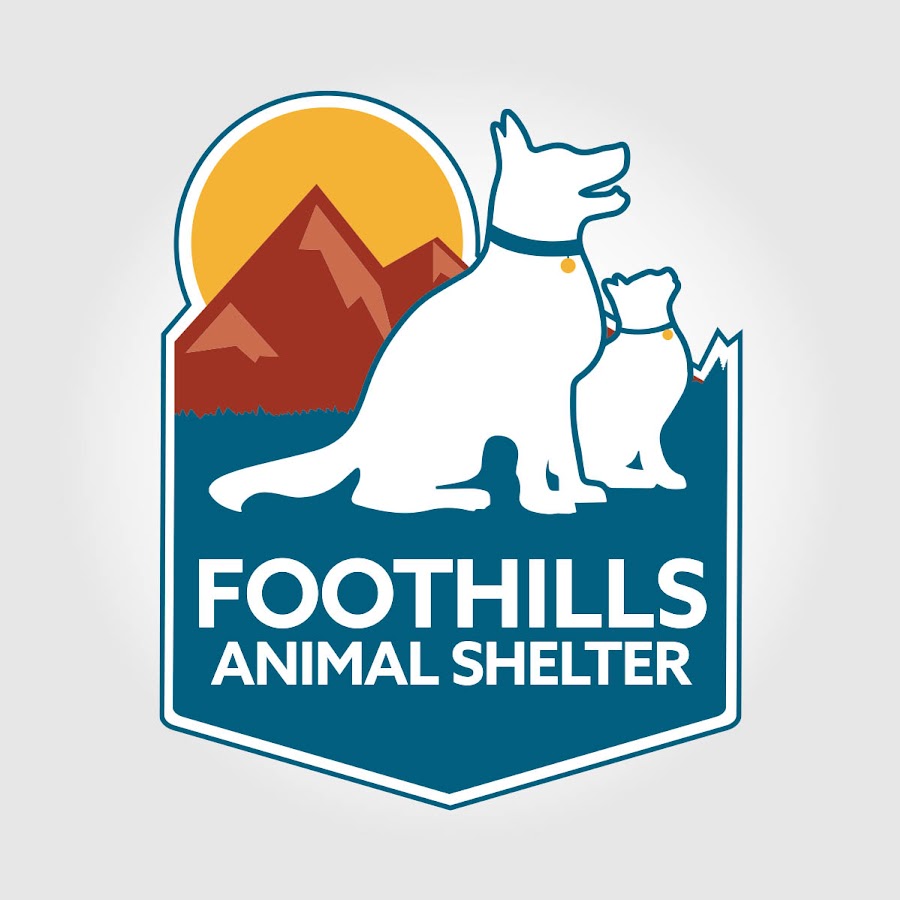 Foothills Animal Shelter YouTube