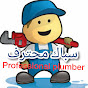 Professional plumber