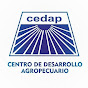 CEDAP AYACUCHO