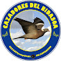 Cazadores del Bidasoa