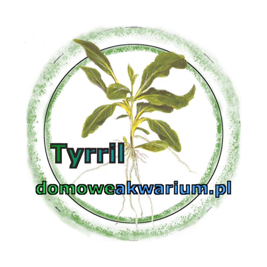 Tyrril DomoweAkwarium.pl @DomoweAkwarium